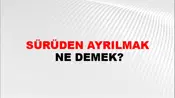 Sürüden Ayrılmak