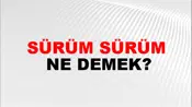 Sürüm Sürüm