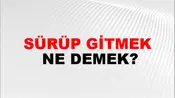 Sürüp Gitmek