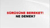 Sürüsüne Bereket!