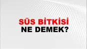 Süs Bitkisi