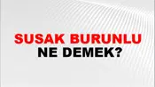 Susak Burunlu