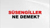 Süsengiller