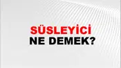 Süsleyici