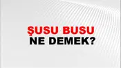 Şusu Busu