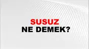 Susuz