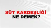 Süt Kardeşliği