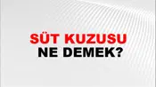 Süt Kuzusu