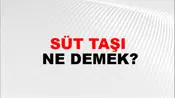 Süt Taşı
