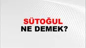 Sütoğul