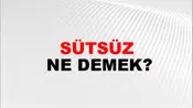 Sütsüz