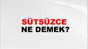 Sütsüzce