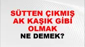 Sütten Çıkmış Ak Kaşık Gibi Olmak