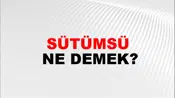 Sütümsü