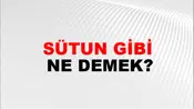 Sütun Gibi