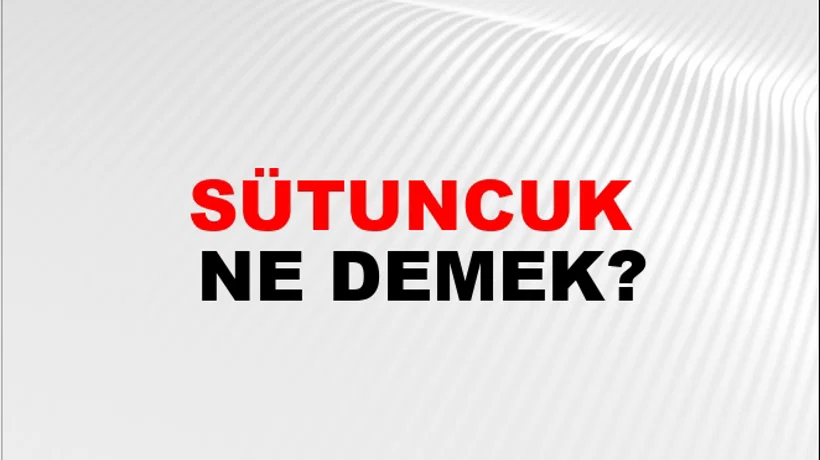 Sütuncuk Sütuncuk