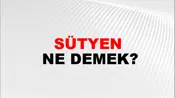 Sütyen