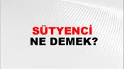 Sütyenci