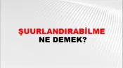Şuurlandırabilme