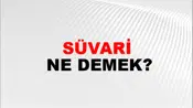 Süvari