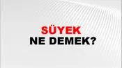 Süyek