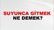 Suyunca Gitmek