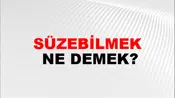 Süzebilmek