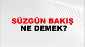 Süzgün Bakış