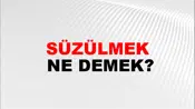 Süzülmek