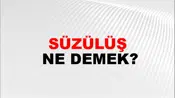 Süzülüş