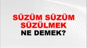 Süzüm Süzüm Süzülmek