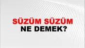 Süzüm Süzüm