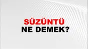 Süzüntü