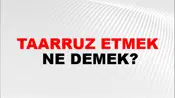 Taarruz Etmek