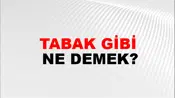 Tabak Gibi