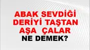 Tabak Sevdiği Deriyi Taştan Taşa (Veya yerden yere) çalar