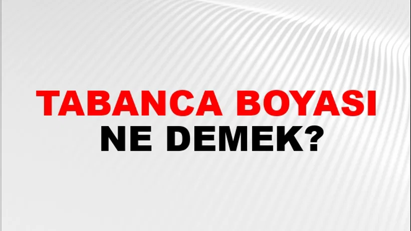Tabanca Boyası Tabanca Boyası