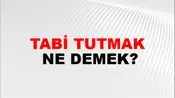 Tabi Tutmak
