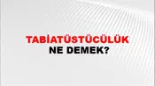 Tabiatüstücülük