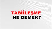 Tabiileşme