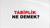 Tabiplik