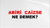 Tabiri (Veya tabir) caizse