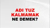 Tadı Tuzu Kalmamak (Veya bozulmak)