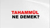Tahammül