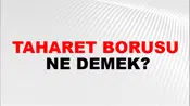 Taharet Borusu