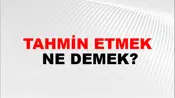 Tahmin Etmek