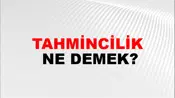 Tahmincilik