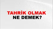 Tahrik Olmak