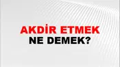 Takdir Etmek (Veya eylemek)