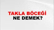 Takla Böceği